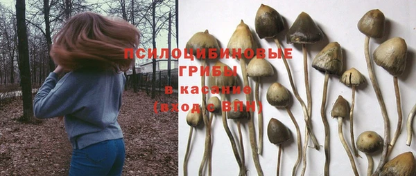 дживик Баксан