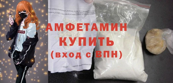шишки Покачи