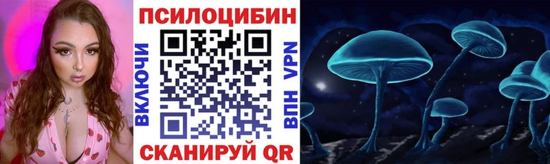 наркота  Североуральск  Галлюциногенные грибы Psilocybe 